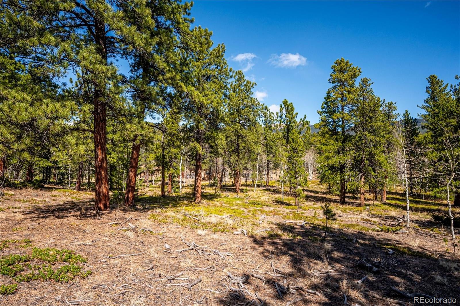 55 W Crosscut Bailey CO 80421