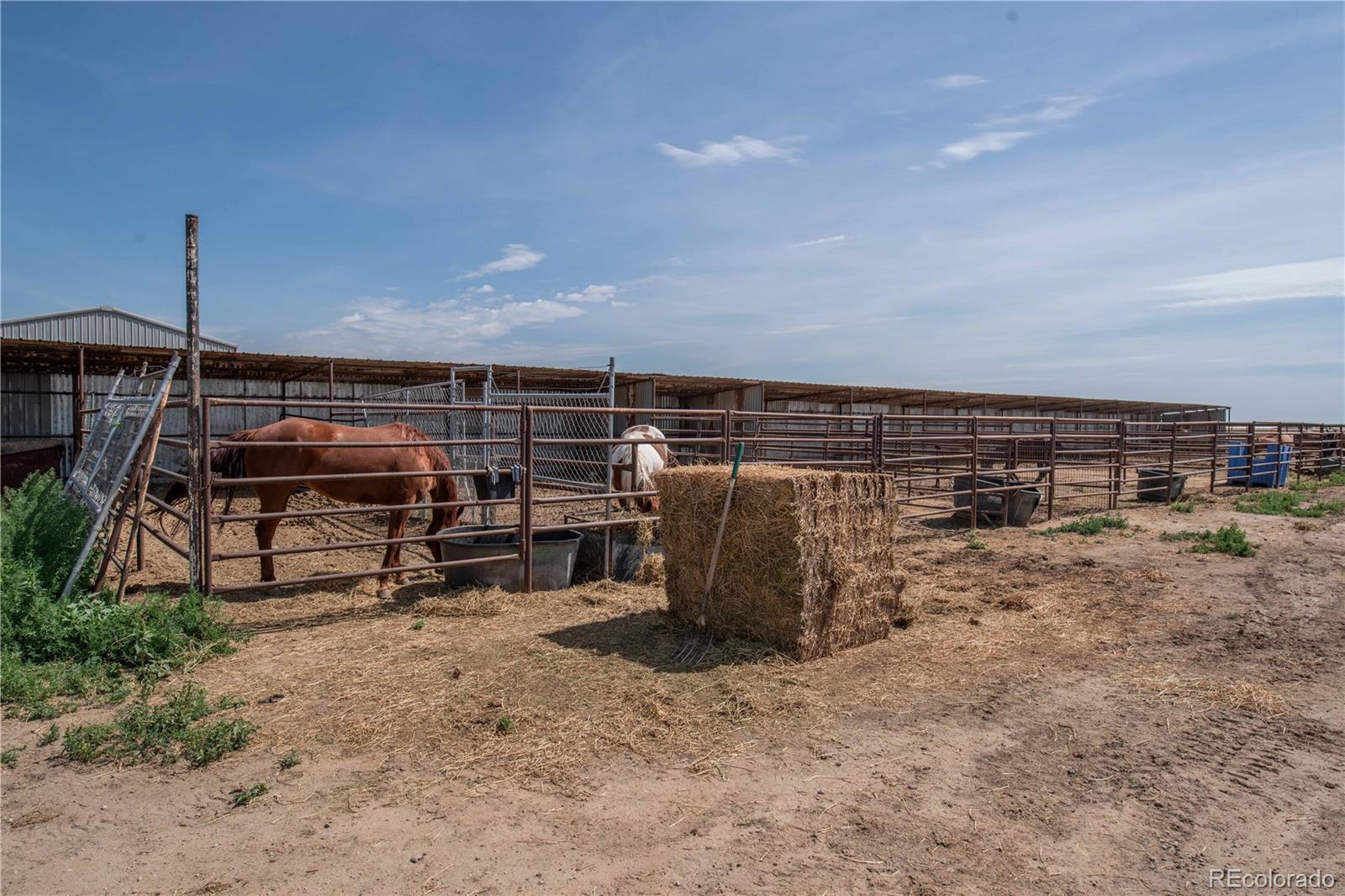 9368 County Road 41 Fort Lupton CO 80621