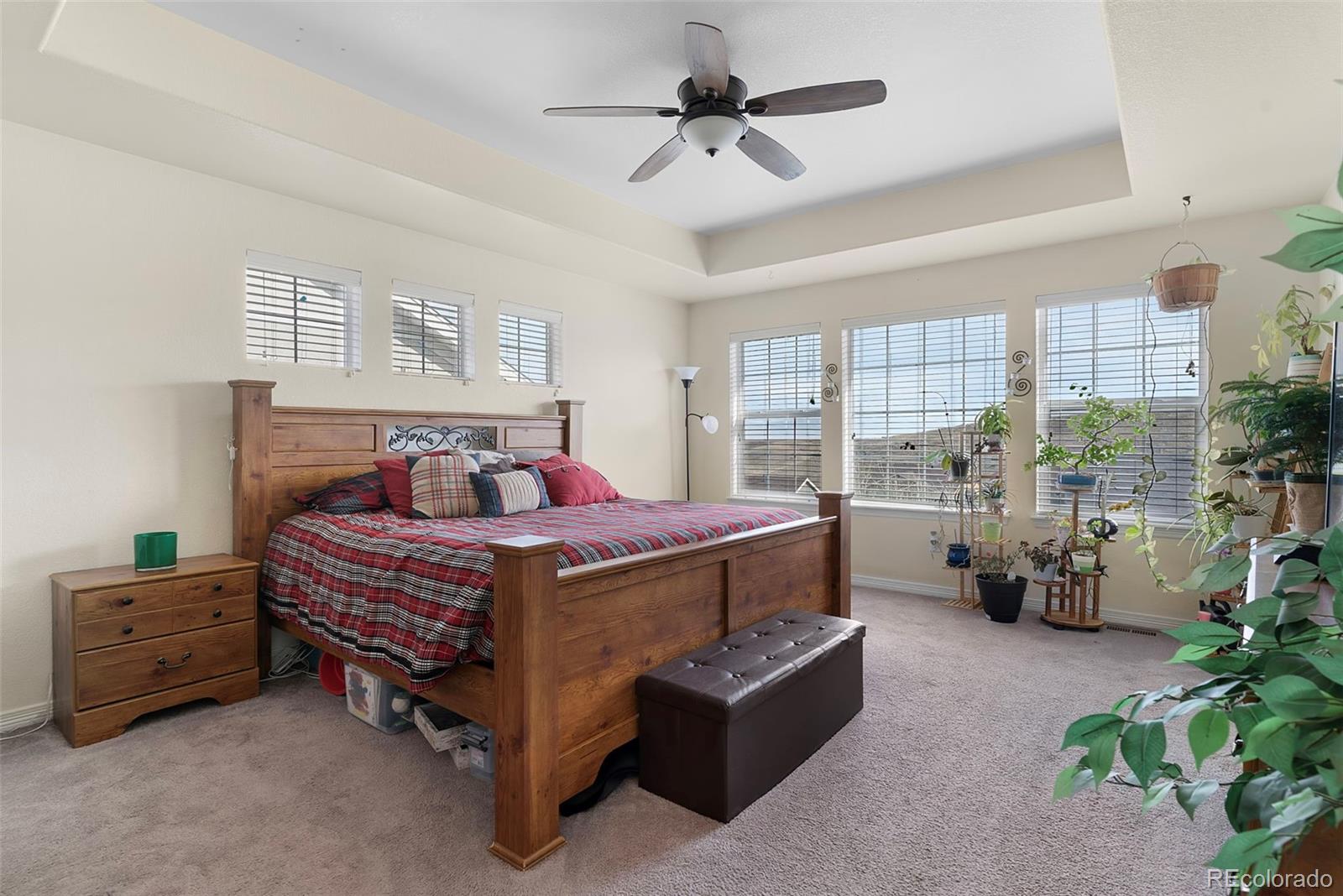 19096 W 84th Place Arvada CO 80007