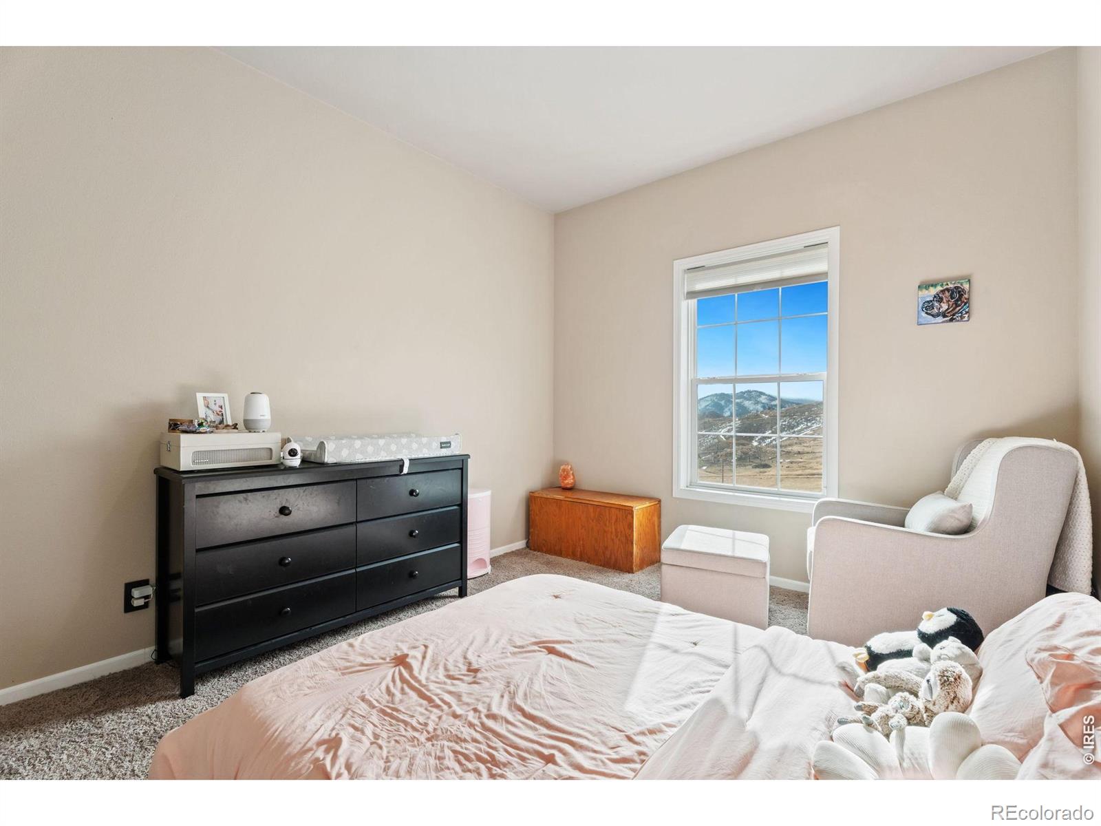 62 Rabbit Ears Court Livermore CO 80536