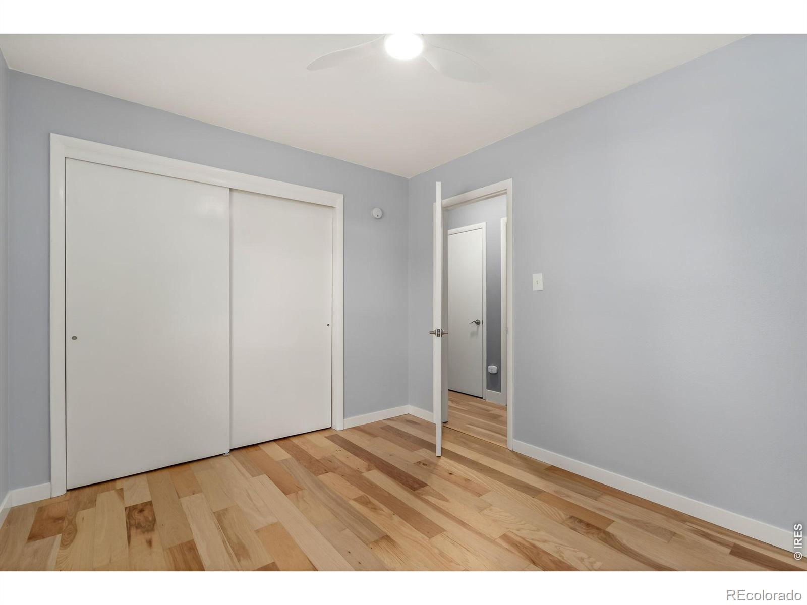 824 Timber Lane Fort Collins CO 80521
