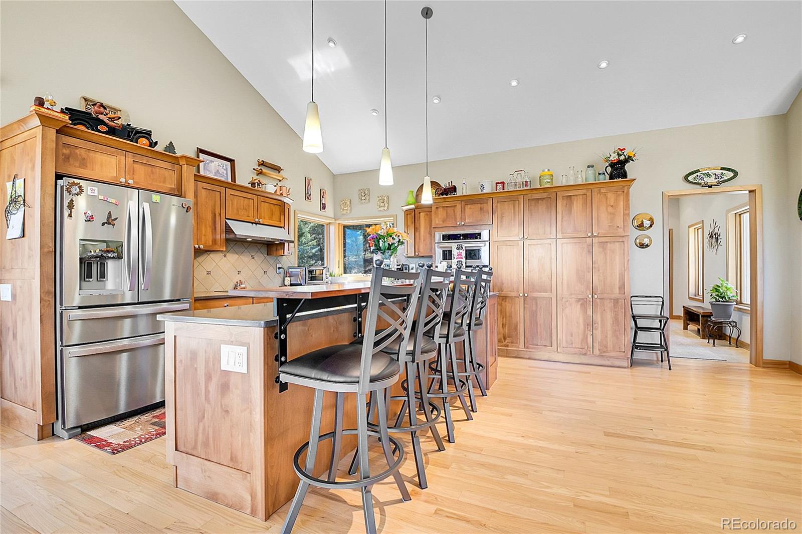 96 Garnet Lane Pine CO 80470