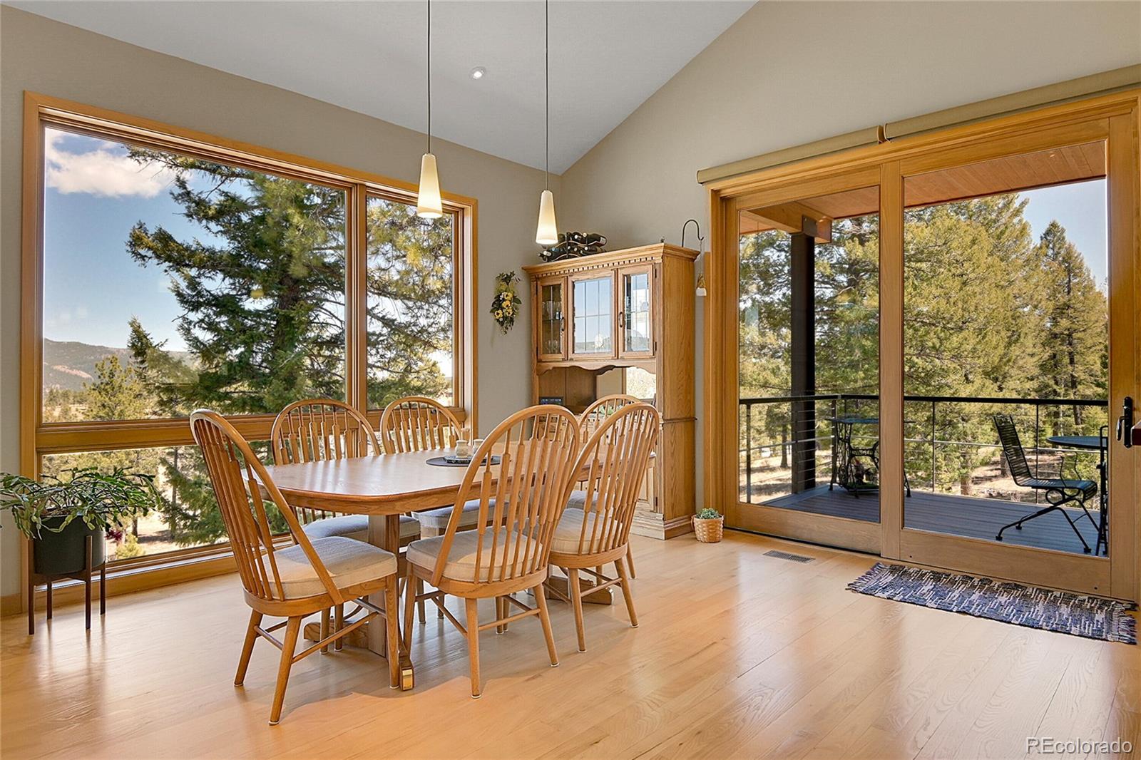 96 Garnet Lane Pine CO 80470