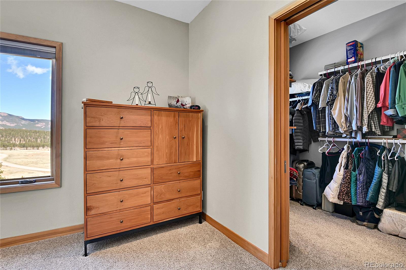 96 Garnet Lane Pine CO 80470