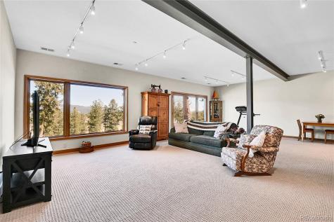 96 Garnet Lane Pine CO 80470