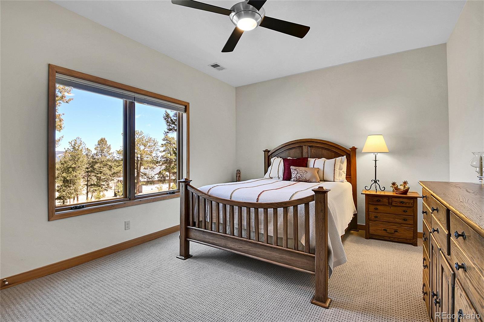 96 Garnet Lane Pine CO 80470
