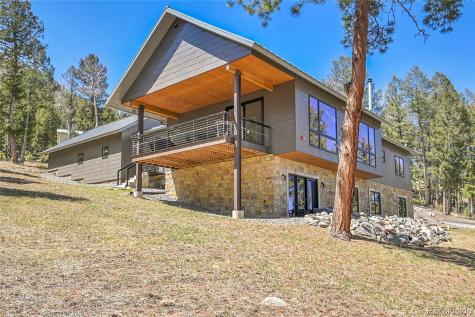 96 Garnet Lane Pine CO 80470