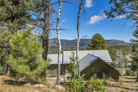 96 Garnet Lane Pine CO 80470