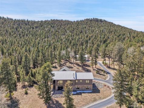 96 Garnet Lane Pine CO 80470