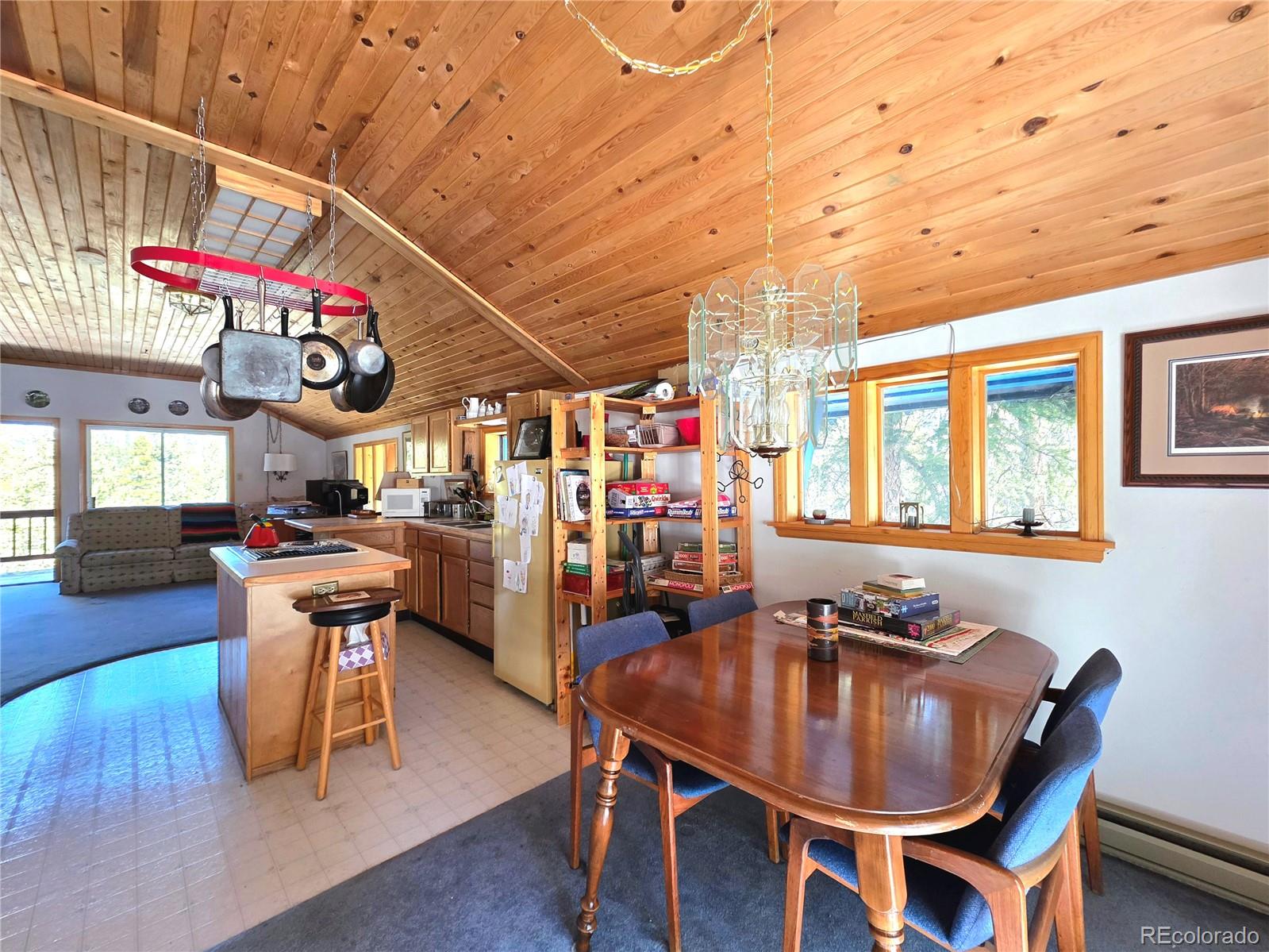 211 Pine Ridge Road Alma CO 80420