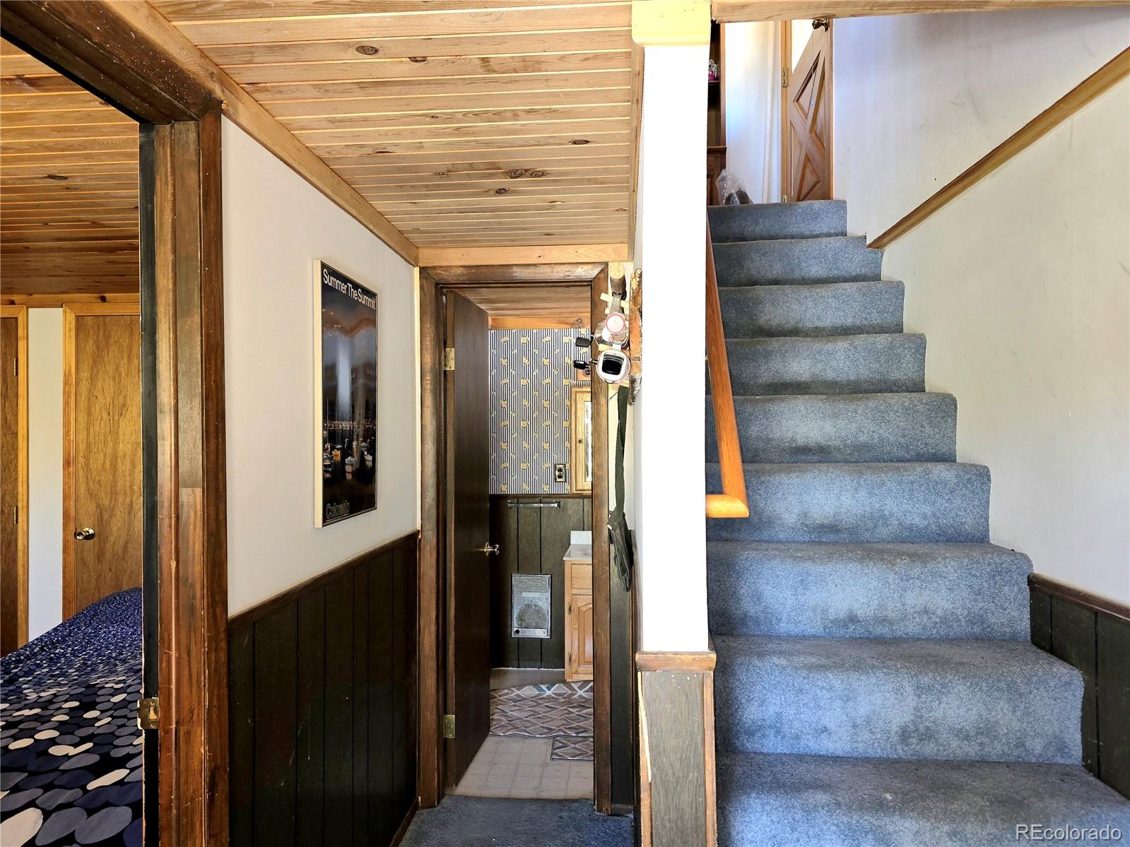 211 Pine Ridge Road Alma CO 80420