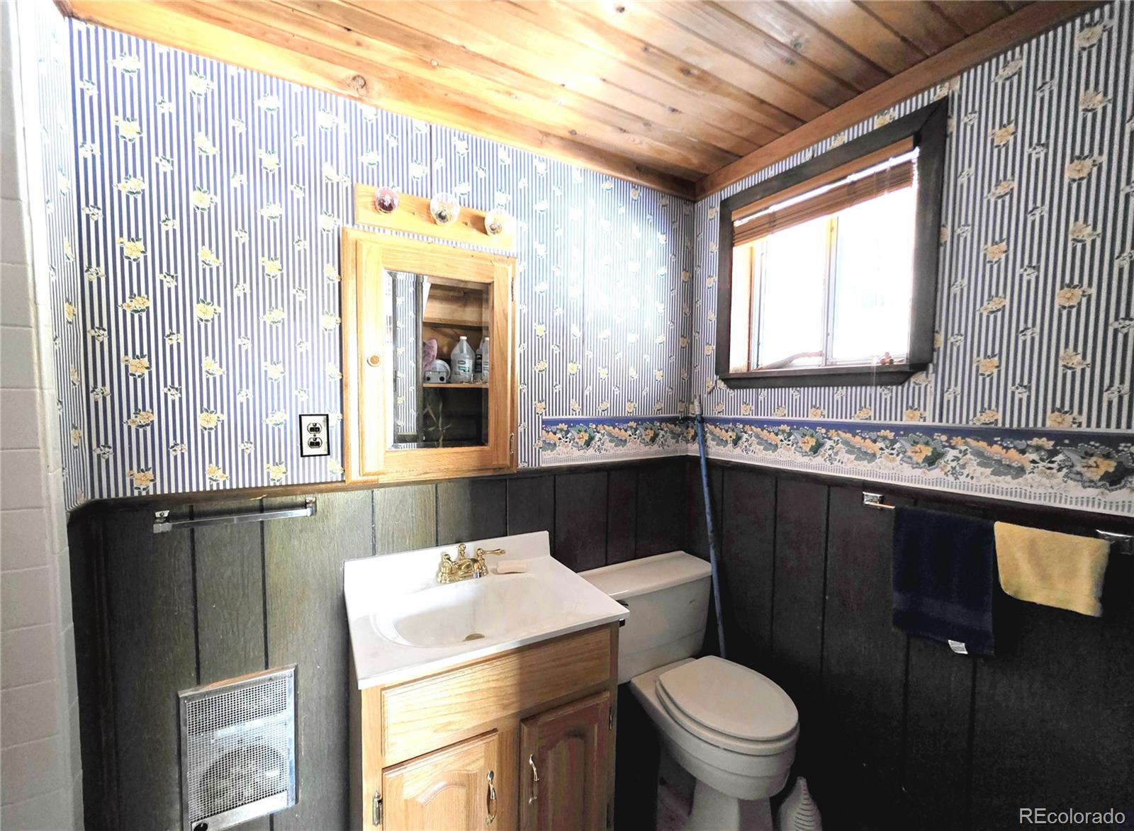 211 Pine Ridge Road Alma CO 80420