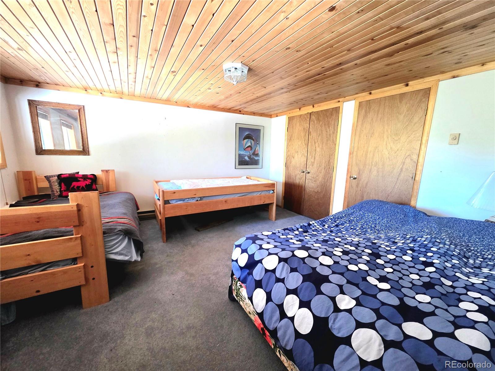 211 Pine Ridge Road Alma CO 80420