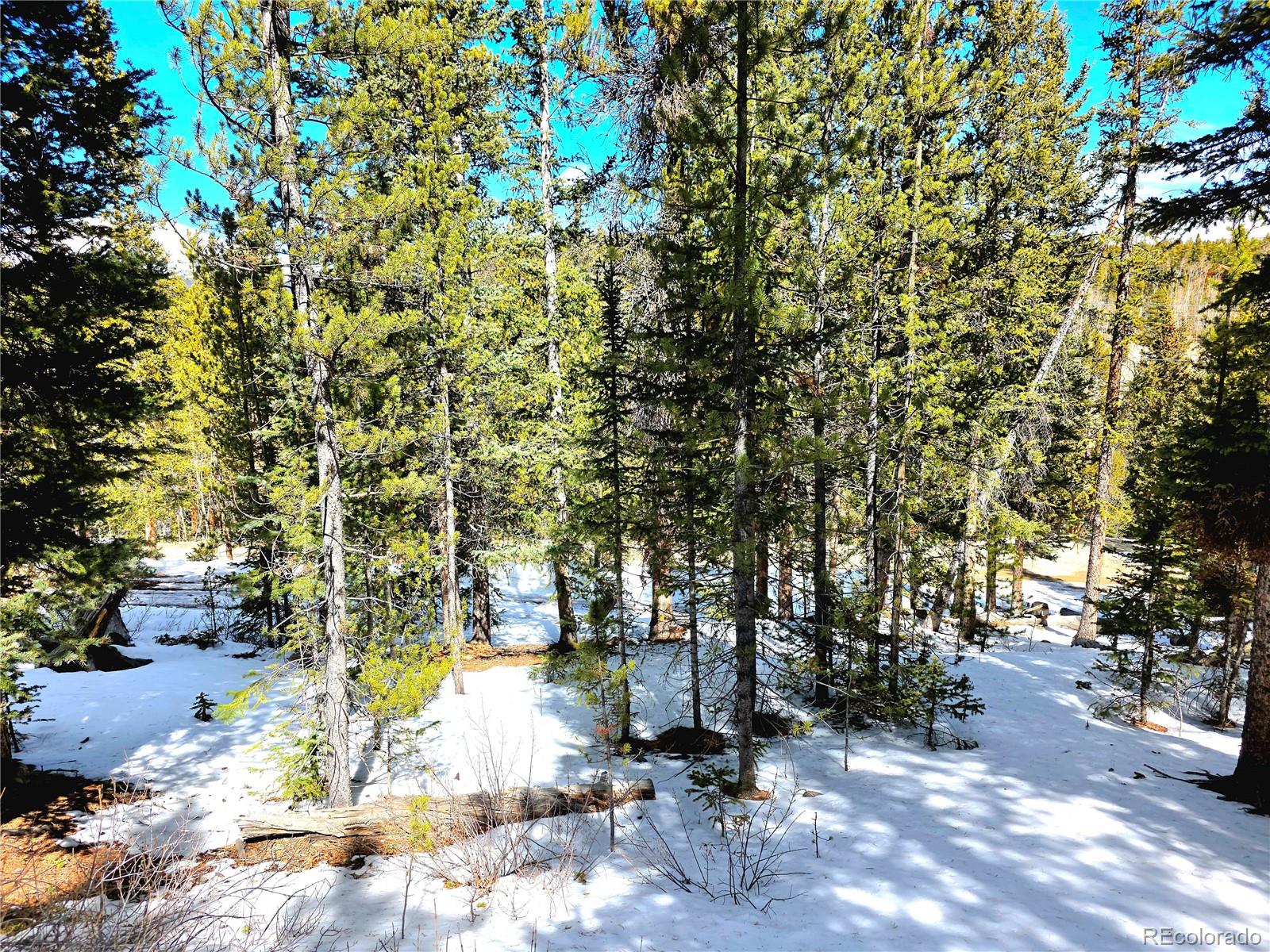 211 Pine Ridge Road Alma CO 80420