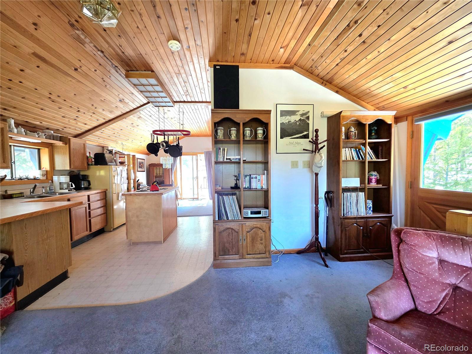 211 Pine Ridge Road Alma CO 80420