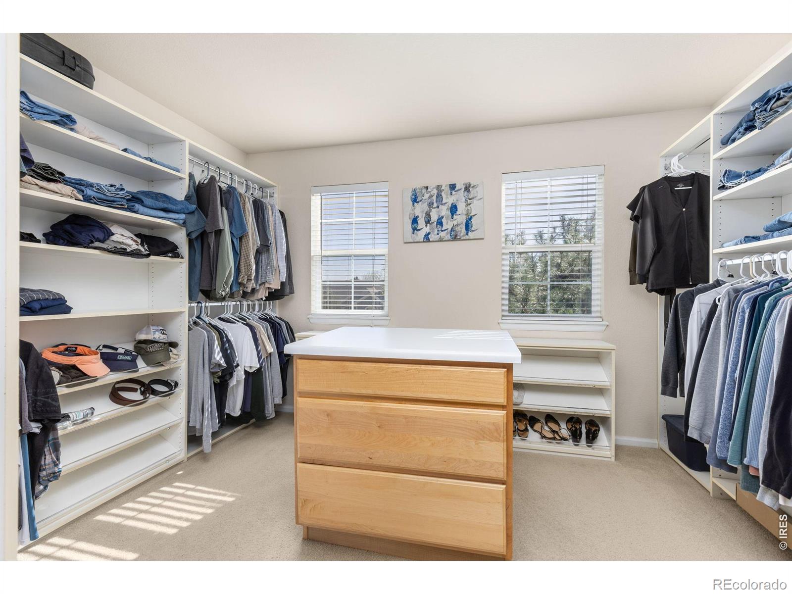 11721 Beasly Road Longmont CO 80504