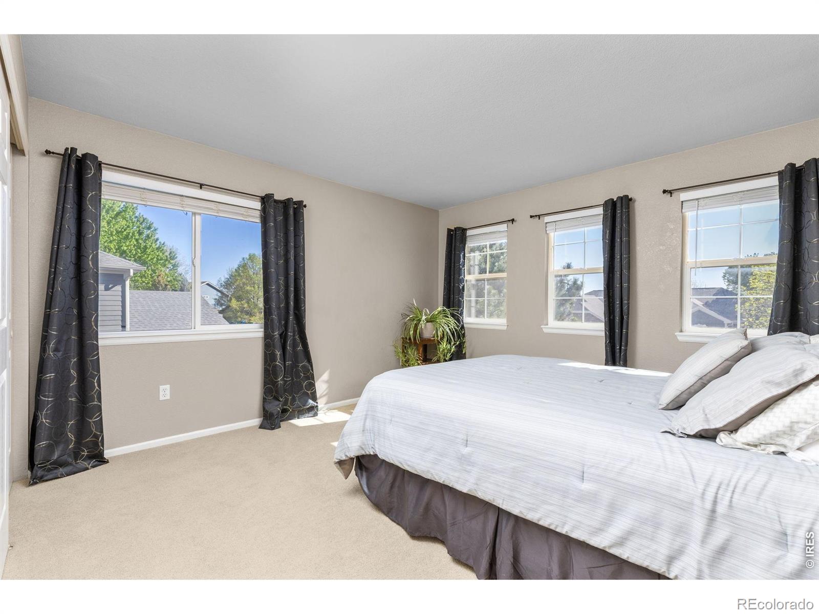 11721 Beasly Road Longmont CO 80504