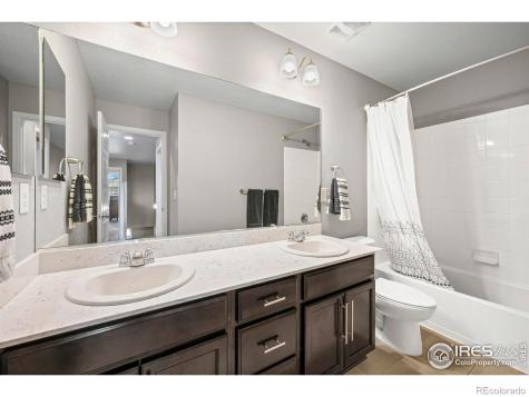 2175 Longfin Drive Windsor CO 80550