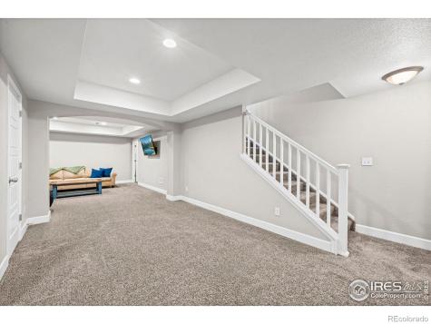 2175 Longfin Drive Windsor CO 80550