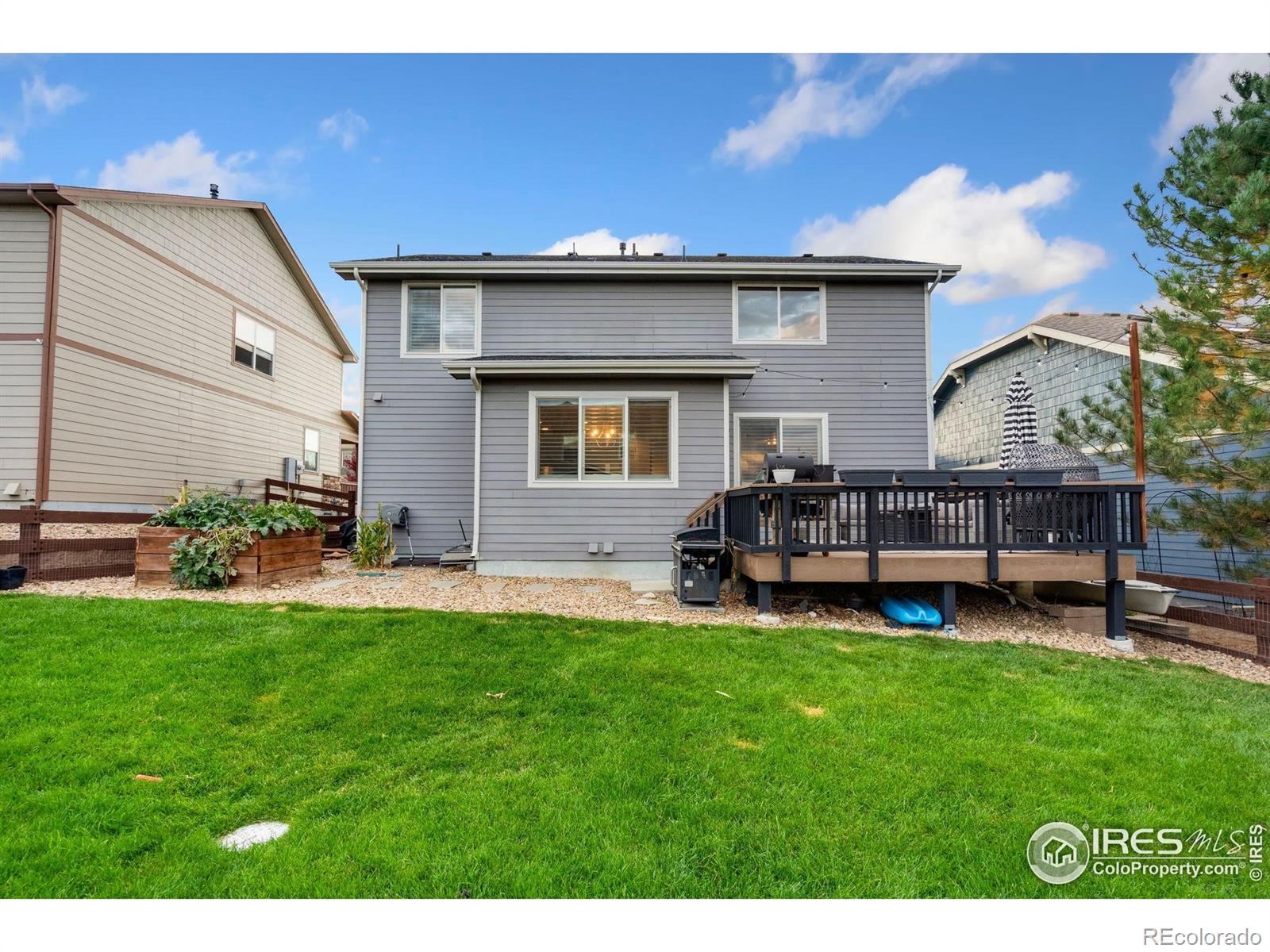 2175 Longfin Drive Windsor CO 80550