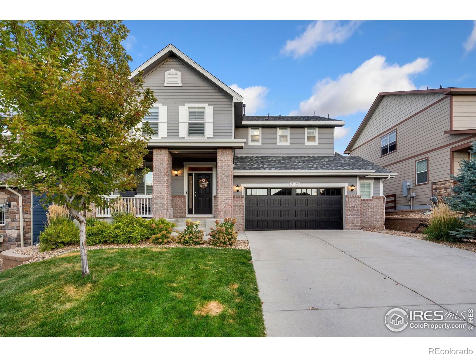 2175 Longfin Drive Windsor CO 80550