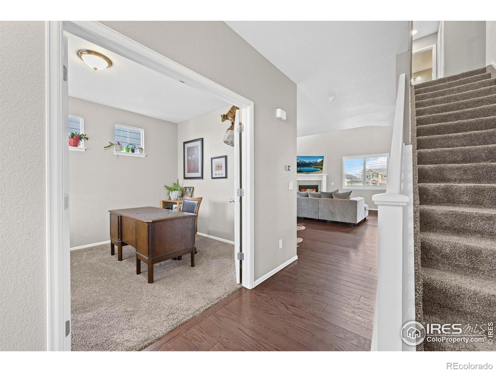 2175 Longfin Drive Windsor CO 80550
