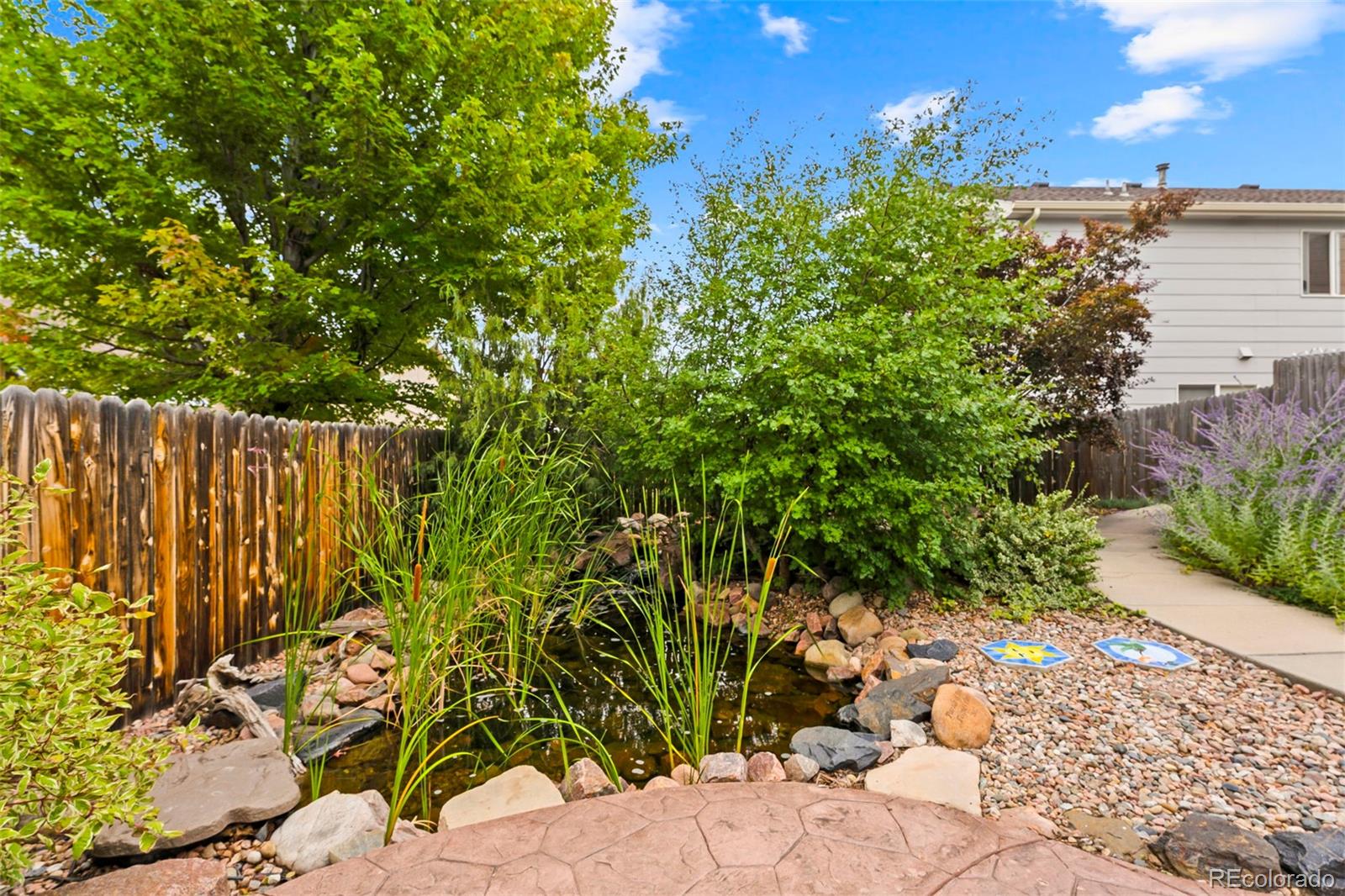 7558 Patina Court Colorado Springs CO 80922