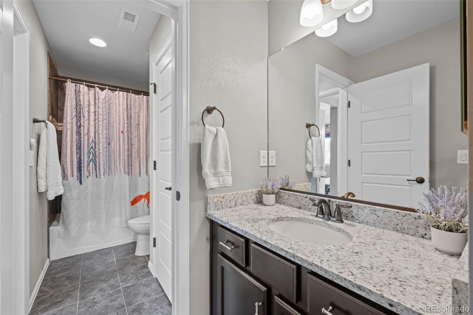 537 Sage Grouse Circle Castle Rock CO 80109