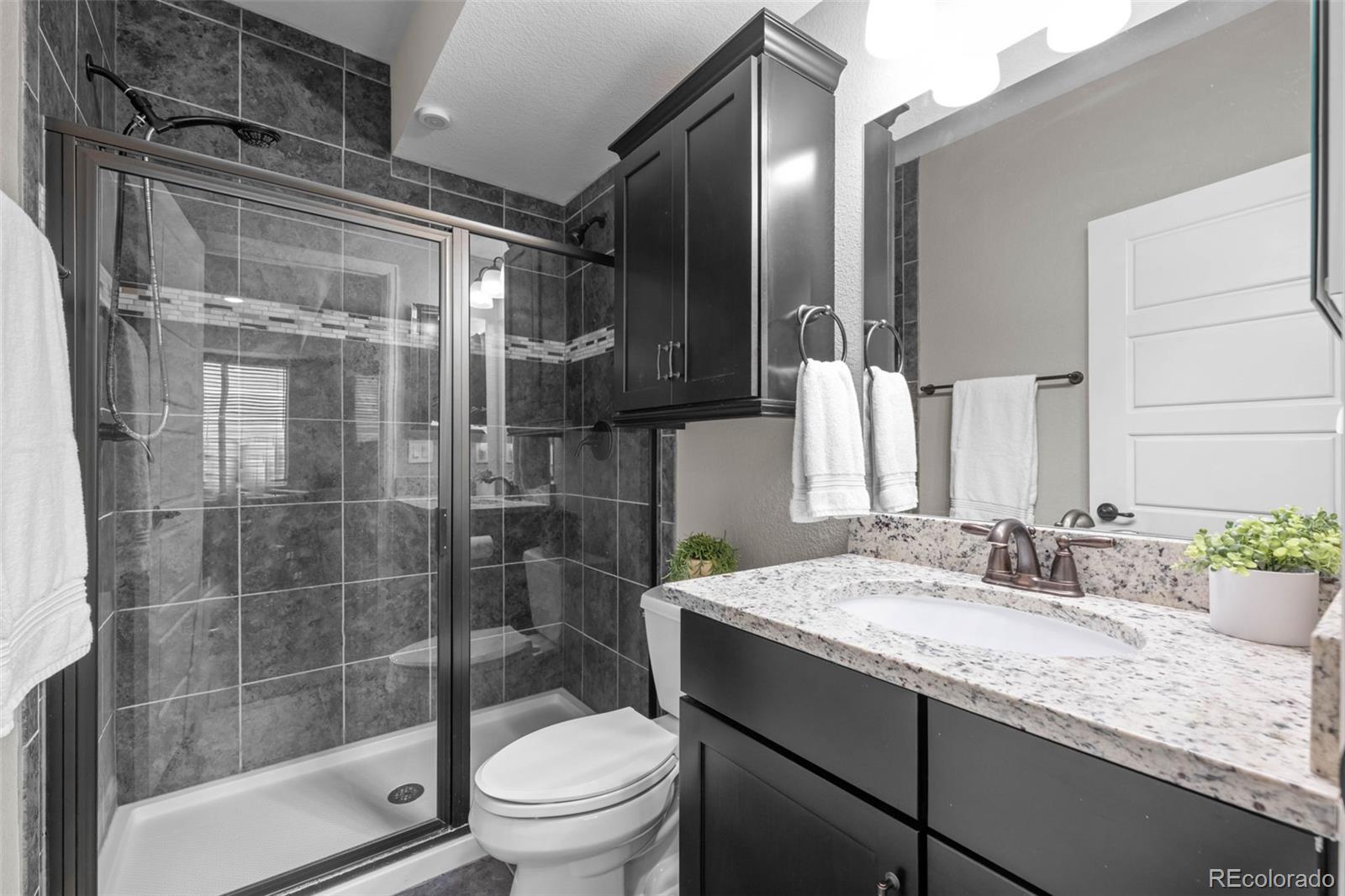 537 Sage Grouse Circle Castle Rock CO 80109