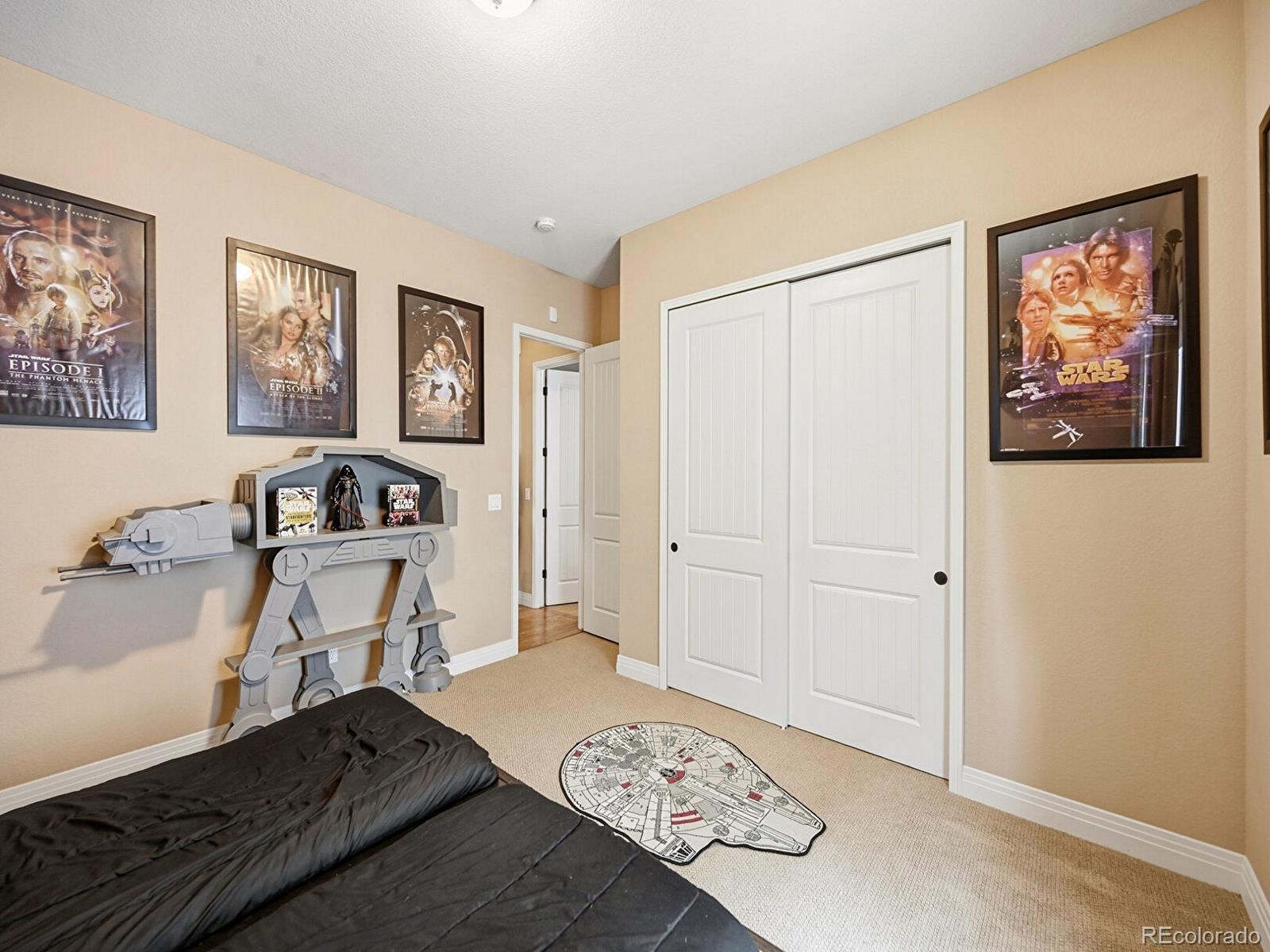 4439 Fell Mist Way Castle Rock CO 80109