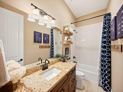 4439 Fell Mist Way Castle Rock CO 80109
