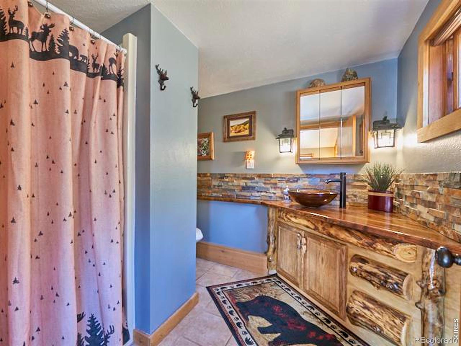 53 Wallens Place Black Hawk CO 80422