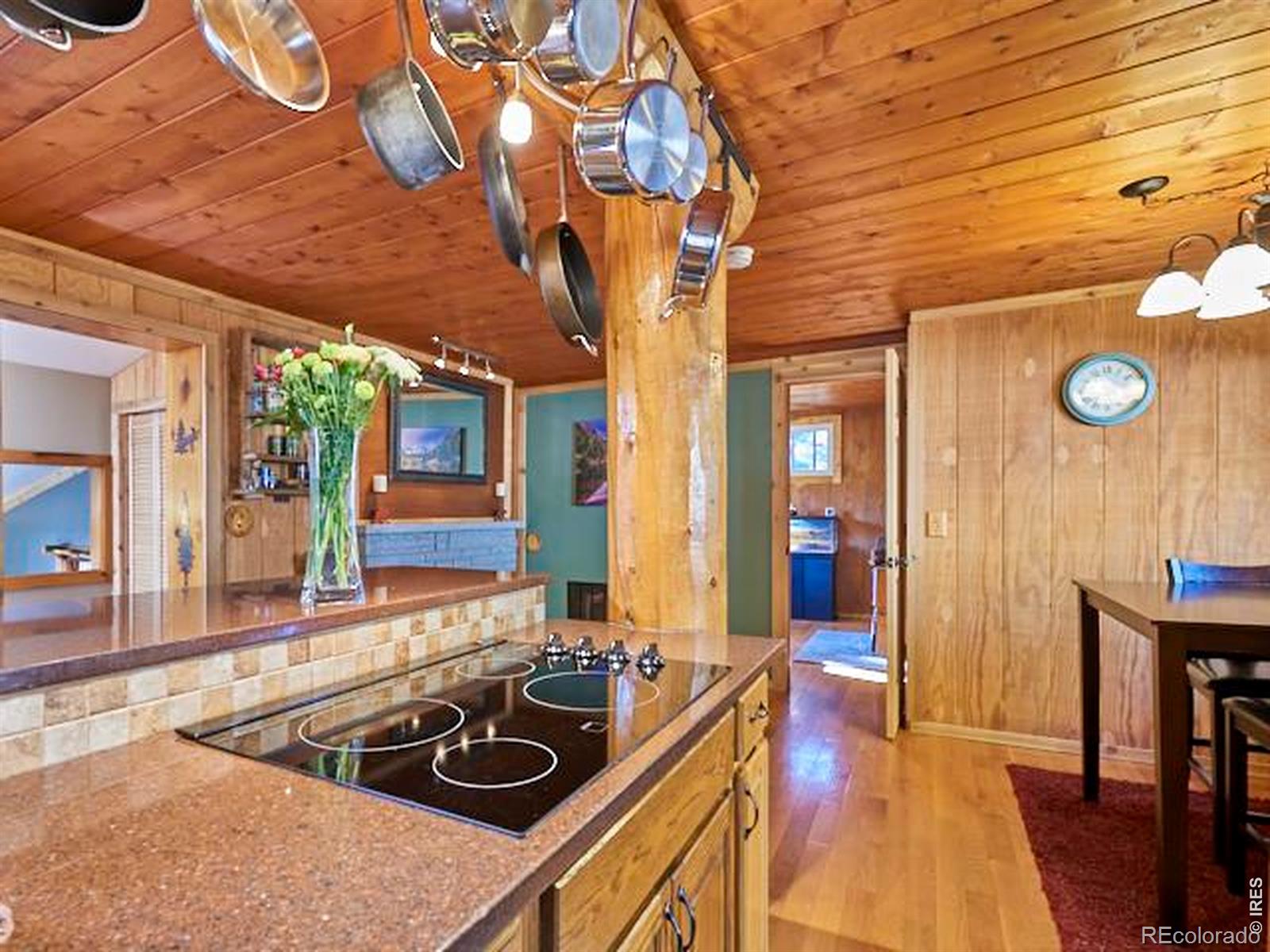 53 Wallens Place Black Hawk CO 80422