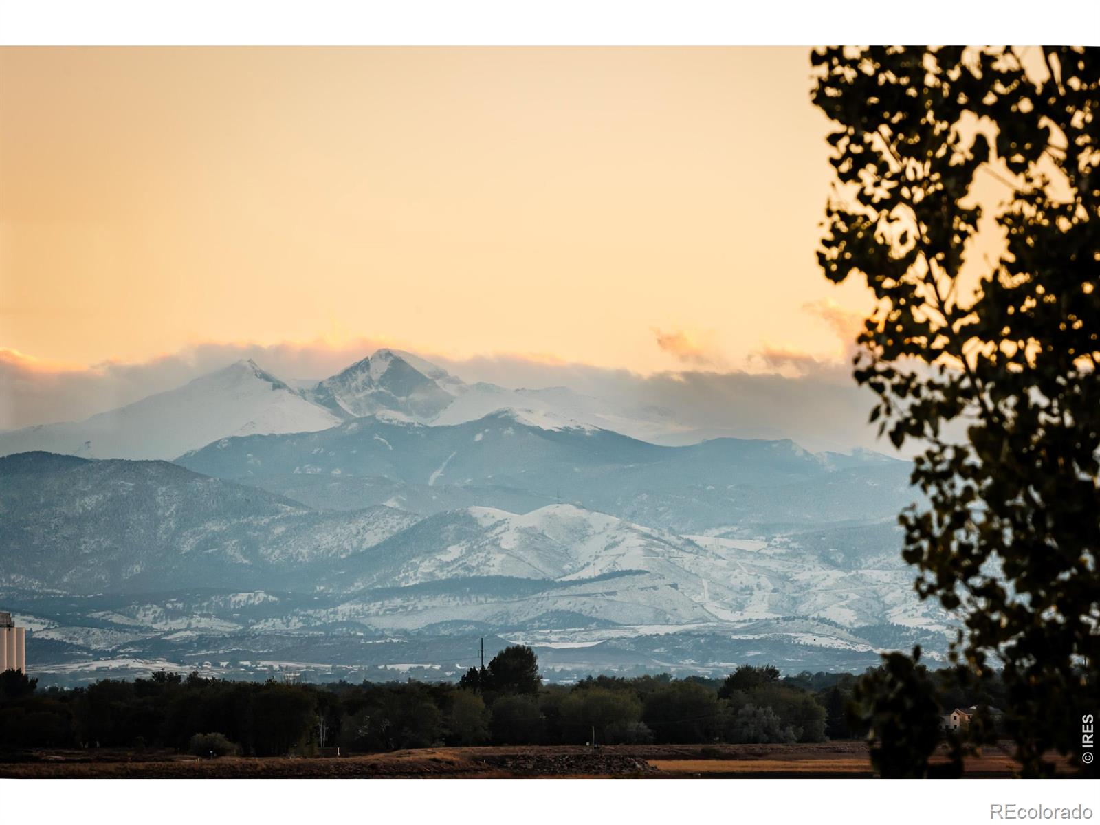 2509 Cub Lake Court Loveland CO 80538
