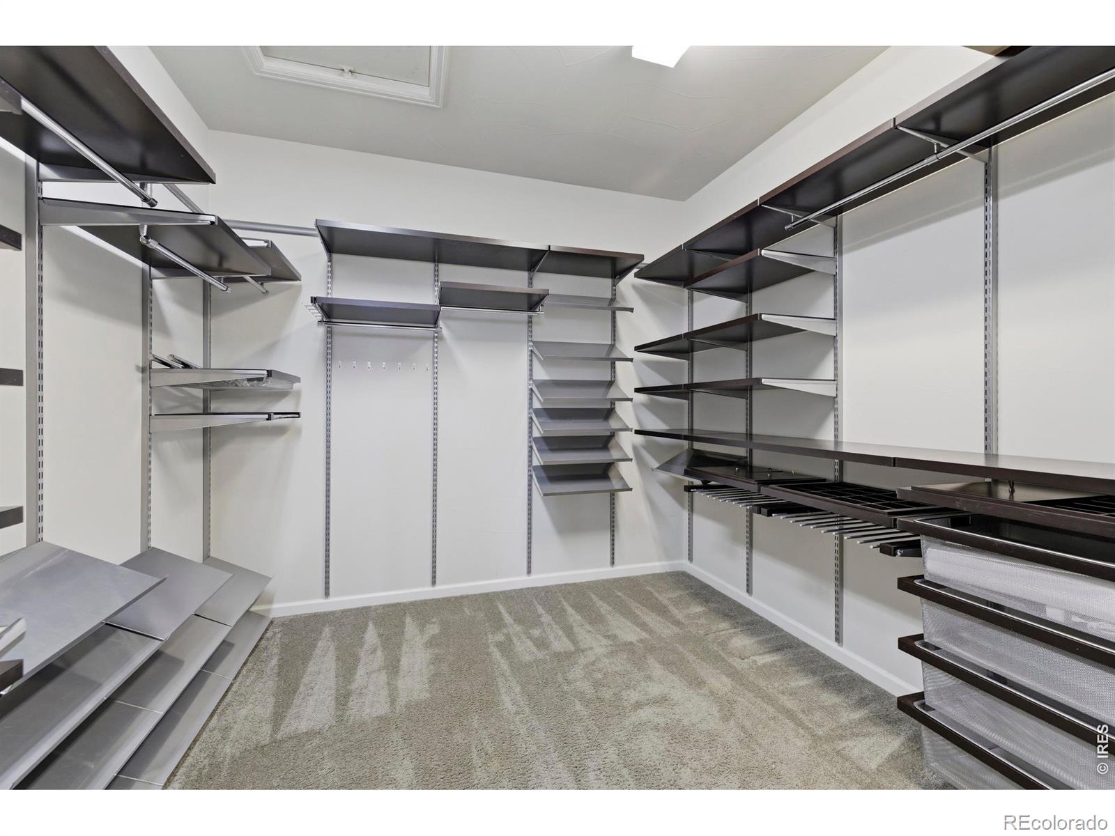 2509 Cub Lake Court Loveland CO 80538