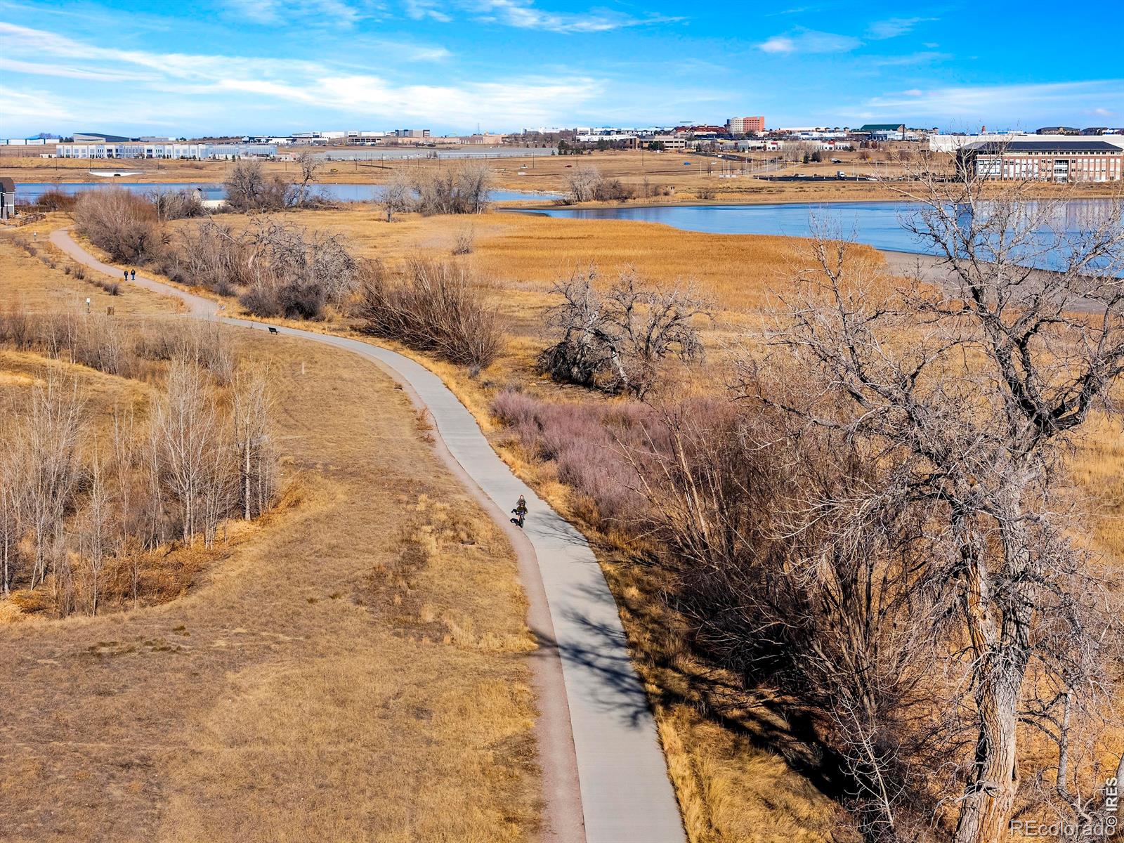2509 Cub Lake Court Loveland CO 80538