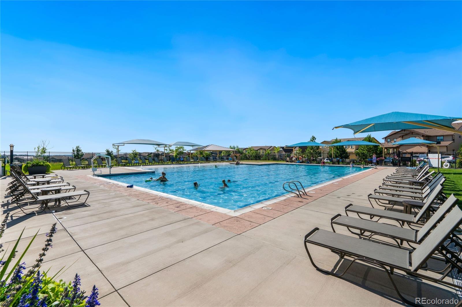 8448 Violet Court Arvada CO 80007