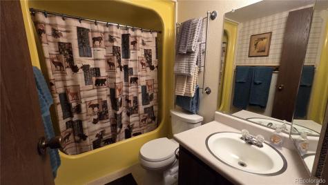 2300 Lodge Pole Circle Silverthorne CO 80498