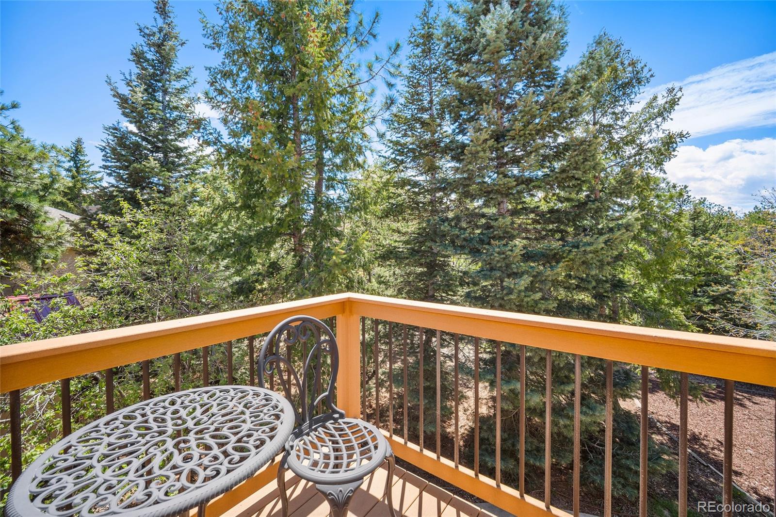 17805 Fairplay Way Monument CO 80132