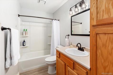 565 Park Lane Buena Vista CO 81211