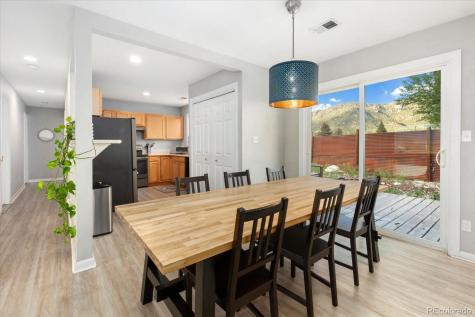 565 Park Lane Buena Vista CO 81211