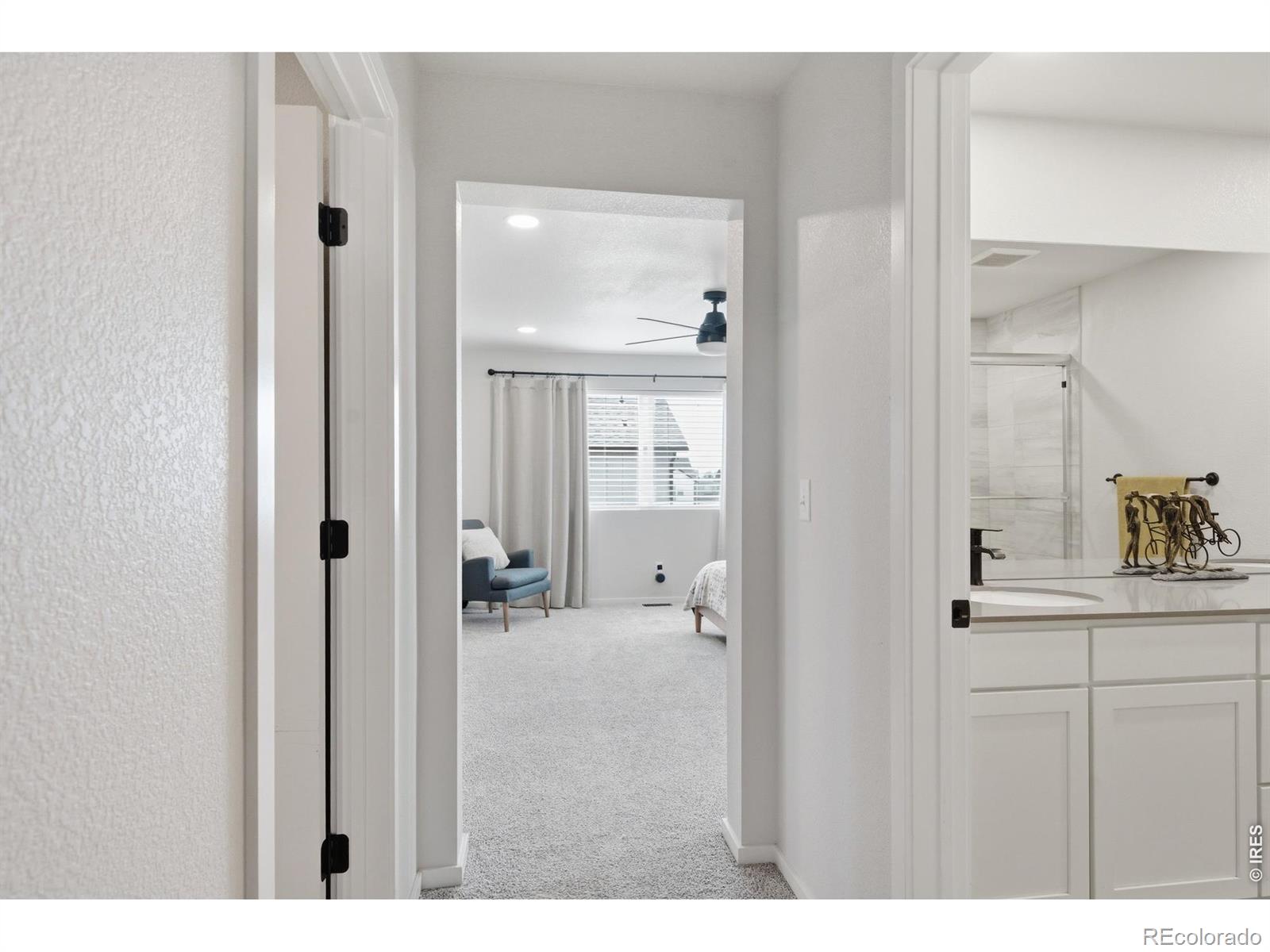 2939 Coleman Street Fort Collins CO 80524