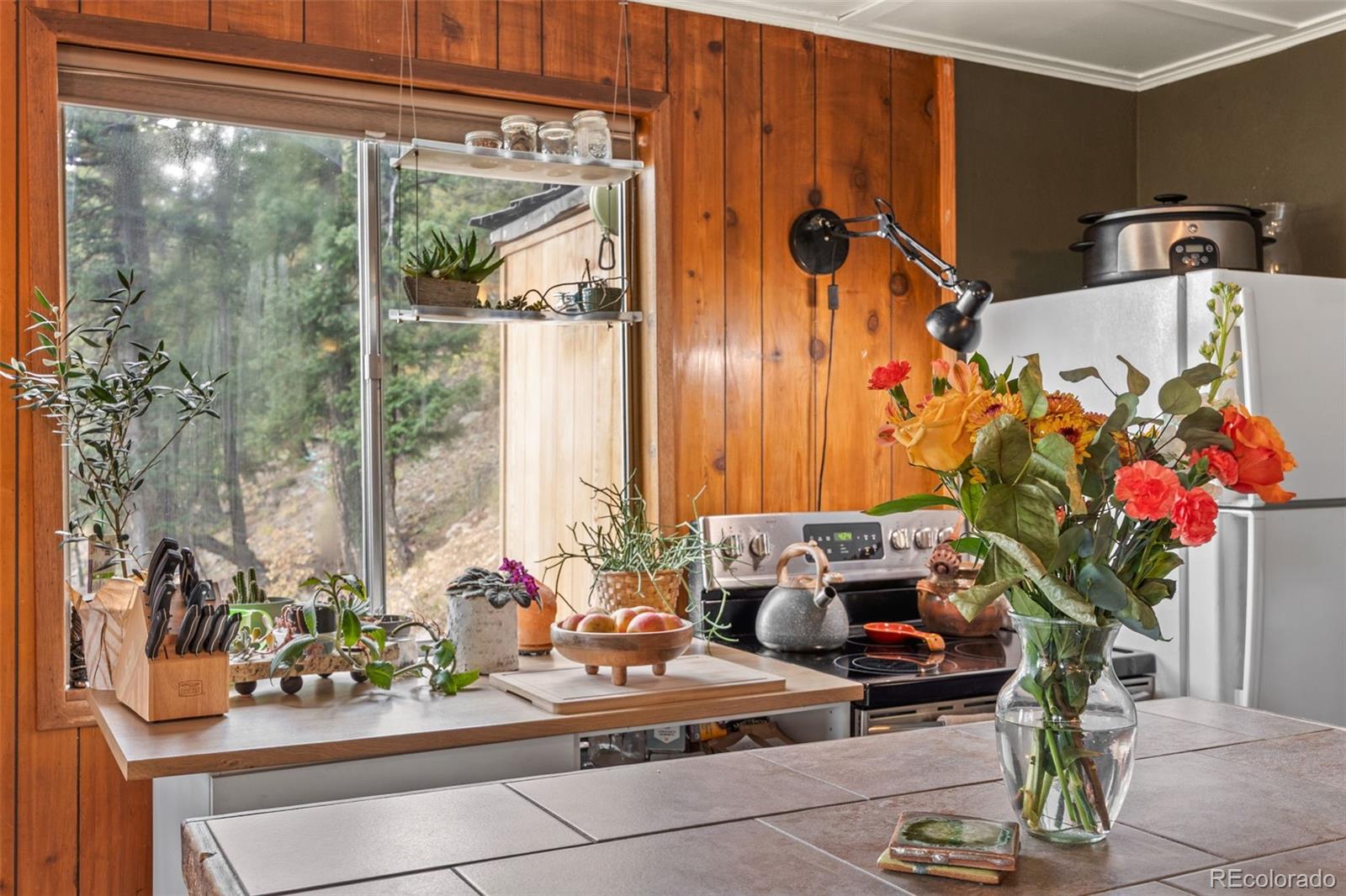 31327 Kings Valley W Conifer CO 80433