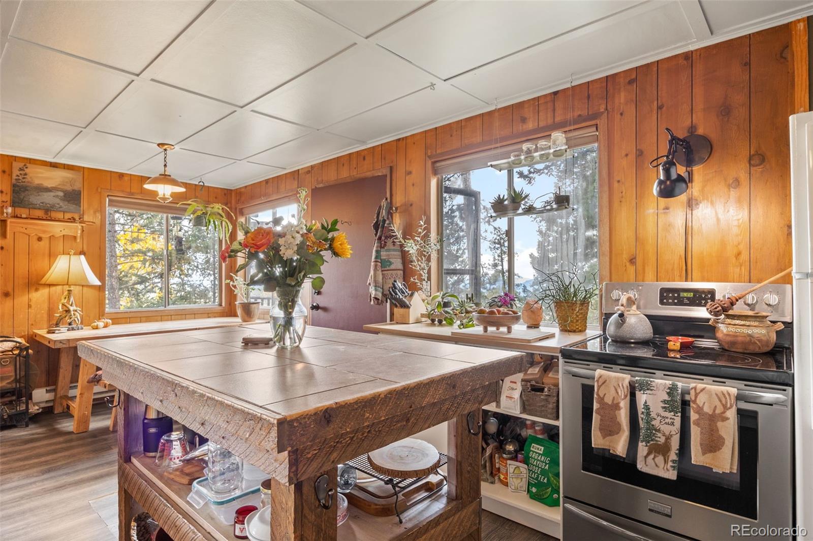 31327 Kings Valley W Conifer CO 80433