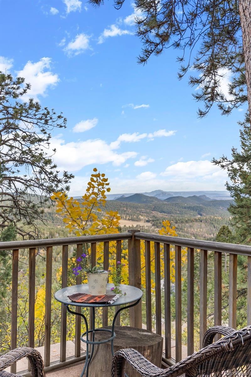 31327 Kings Valley W Conifer CO 80433
