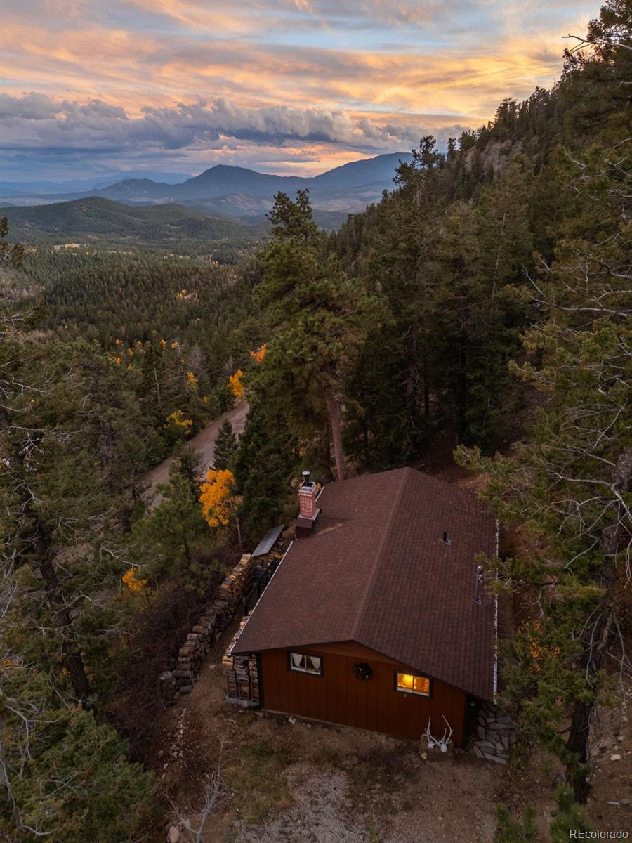 31327 Kings Valley W Conifer CO 80433