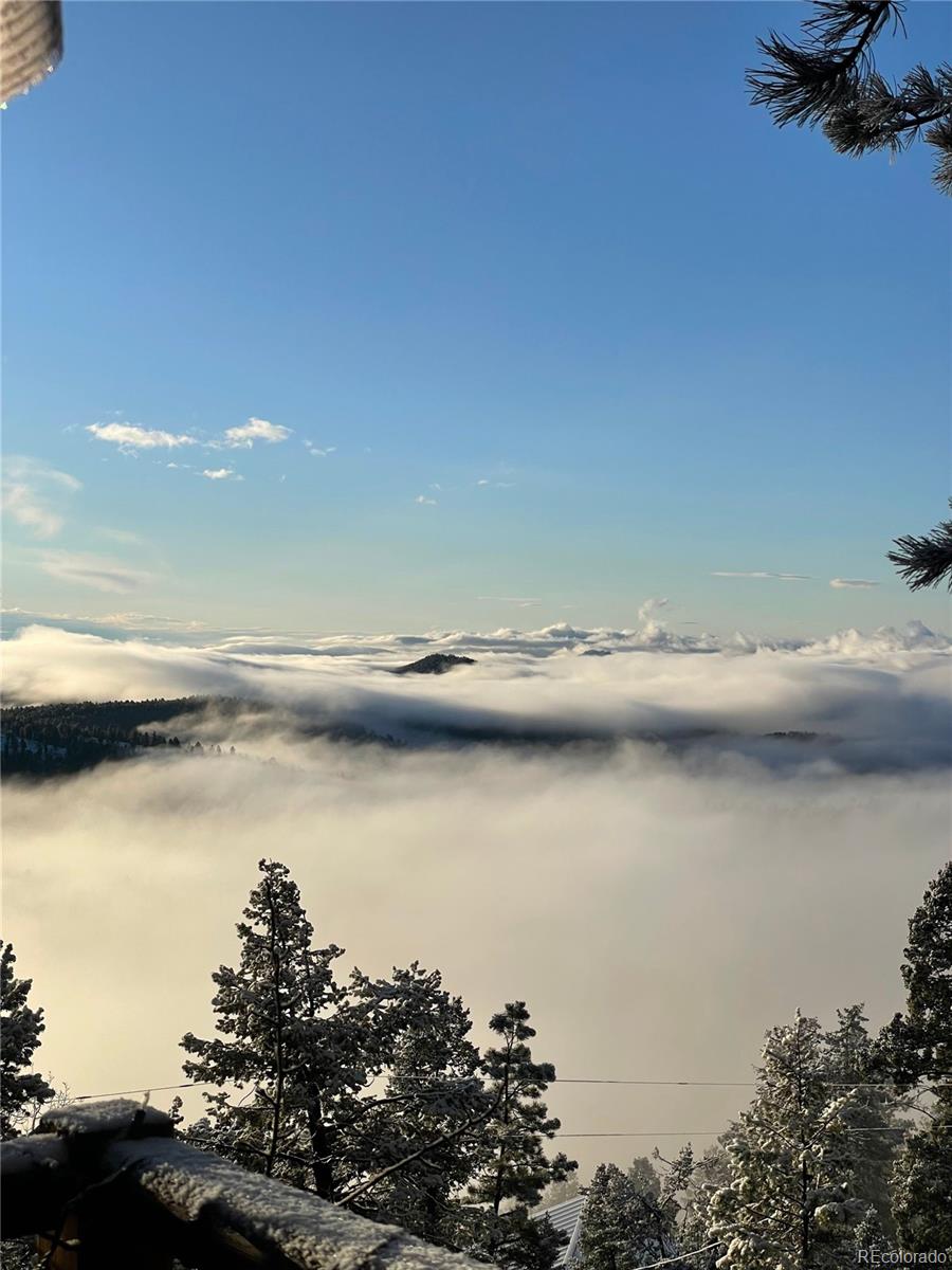 31327 Kings Valley W Conifer CO 80433