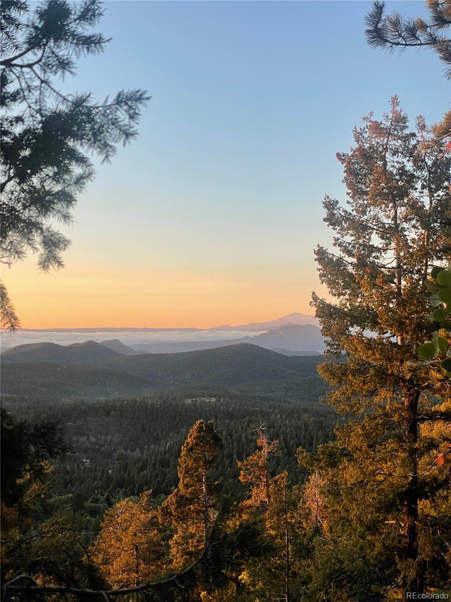 31327 Kings Valley W Conifer CO 80433