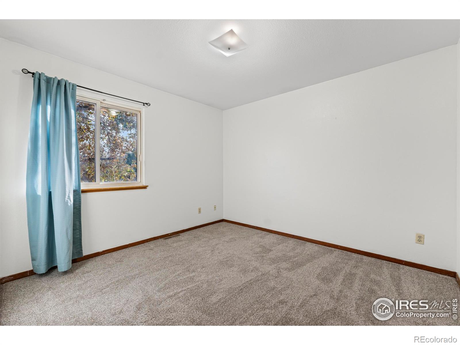 504 Ash Avenue Ault CO 80610