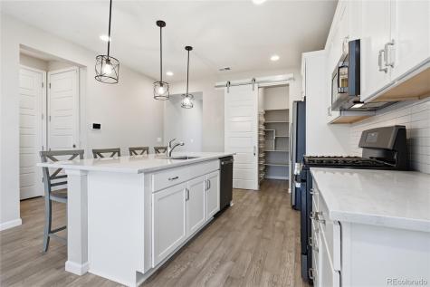 4638 Rapport Drive Castle Rock CO 80104